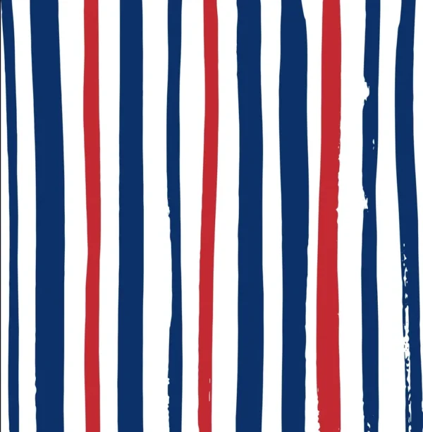 Hand-Drawn Navy blue and red Vertical Stripe Pattern customizable